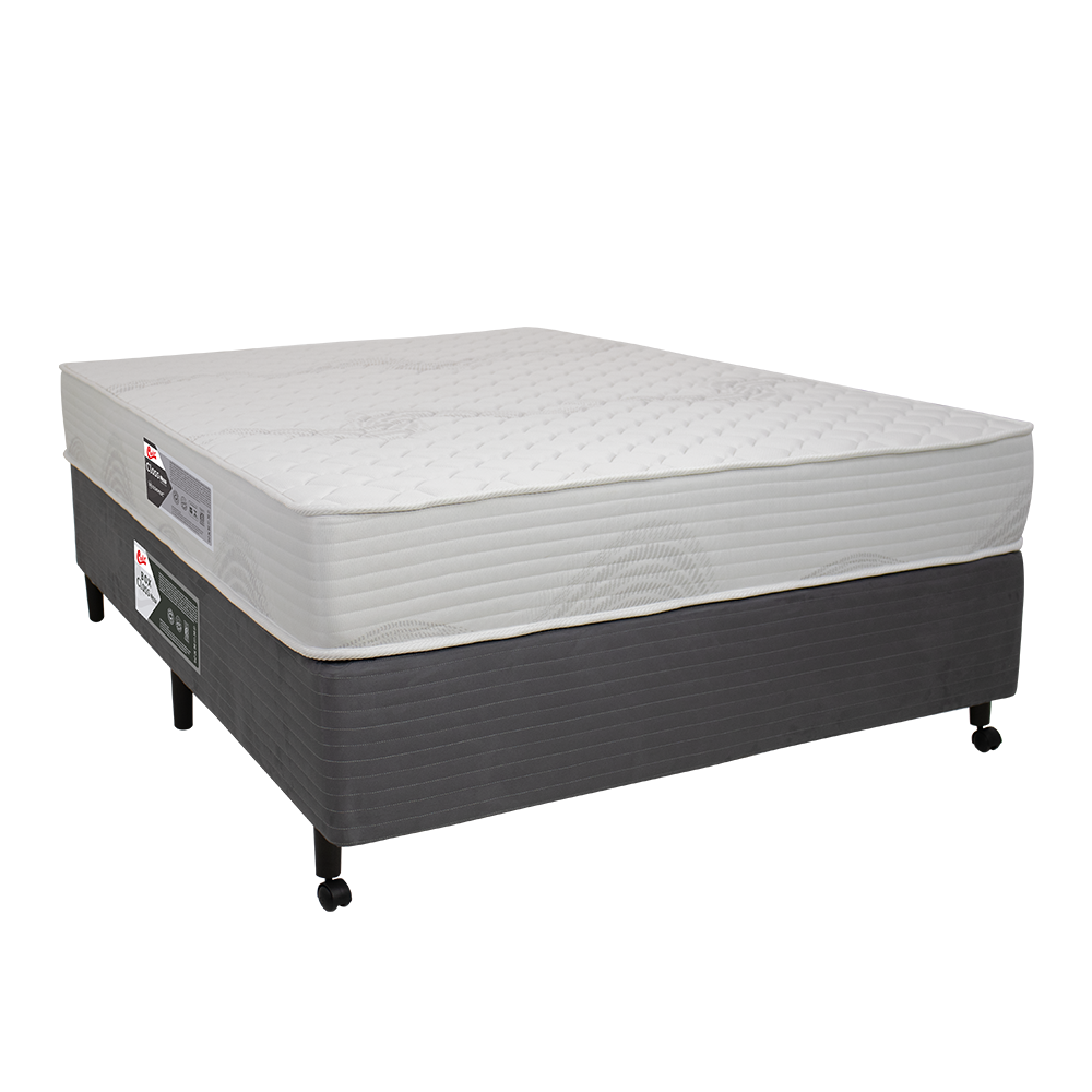 極上龍根付　19g 東Y8-0306☆2F Class New Tecnopedic® Double Face - Colchões Castor